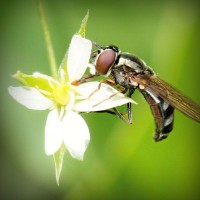 /album/papounet/photolia-a02-jpg/