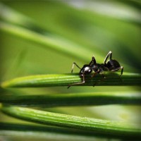/album/papounet/photolia-a05-jpg/