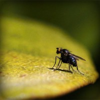 /album/papounet/photolia-a07-jpg/